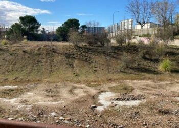 El Gobierno local llevará al Pleno el inicio de los trámites para construir la futura Ciudad de las Artes