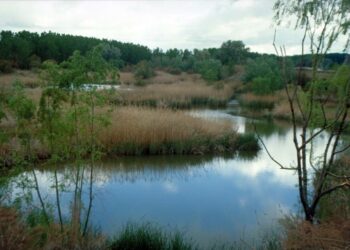 Arco verde Majadahonda