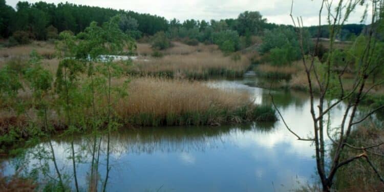Arco verde Majadahonda