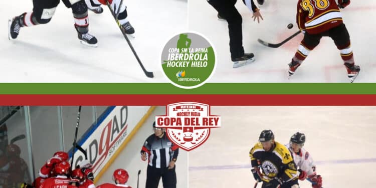 Las osas pierden ante el Txuri Urdin en la final de la Copa de la Reina