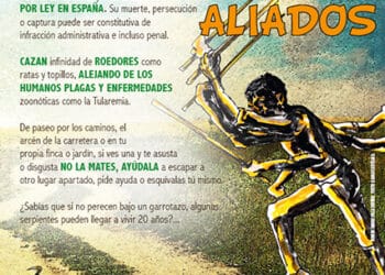 Campaña de GREFA para promover la conservación de las serpientes ibéricas