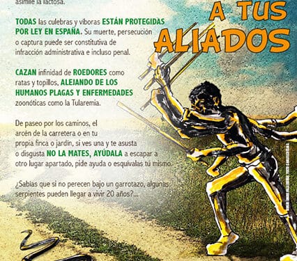 Campaña de GREFA para promover la conservación de las serpientes ibéricas