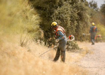 Las Rozas empieza a desbrozar para prevenir incendios