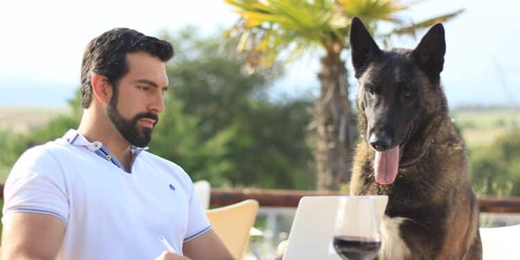 “La educación en un perro es algo básico”