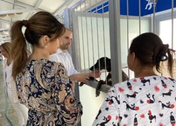 El CICAM acoge a 12 perros víctimas de una red de maltrato animal