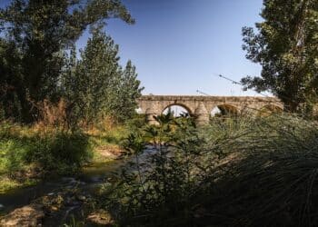 Restauración de las cuencas fluviales de Las Rozas