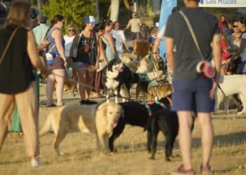 Las Rozas cuenta con casi medio centenar de zonas caninas