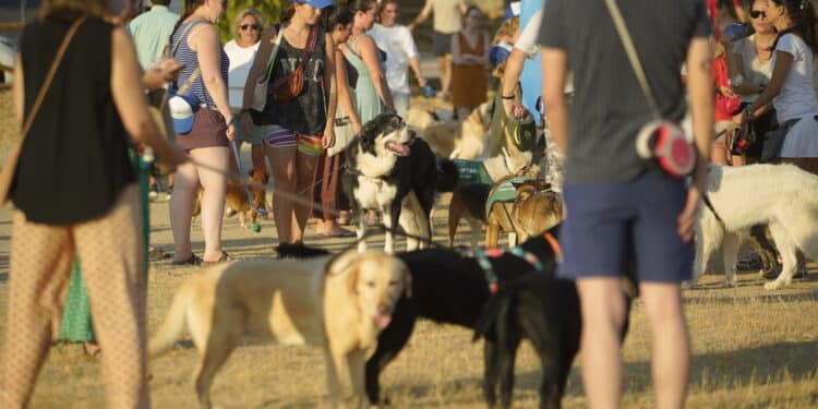 Las Rozas cuenta con casi medio centenar de zonas caninas