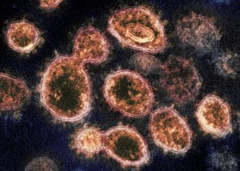 Los expertos alertan: más proteína ACE2, mayor riesgo de covid grave