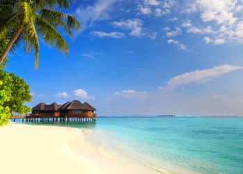 Los majariegos harán el viaje de sus sueños este verano