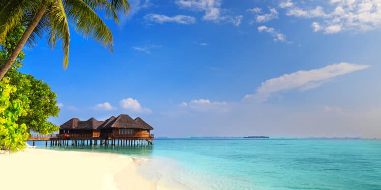 Los majariegos harán el viaje de sus sueños este verano