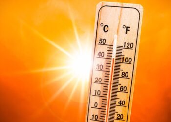Los cinco planes para que no te pegue fuerte la ola de calor