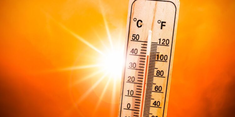 Los cinco planes para que no te pegue fuerte la ola de calor