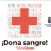 Dona sangre en Majadahonda el próximo 9 de septiembre