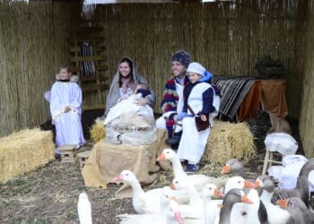 El Belén viviente se instalará este domingo en la finca de La Milagrosa de Boadilla