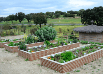 Abierto el plazo de solicitud para los huertos urbanos ecológicos de Boadilla