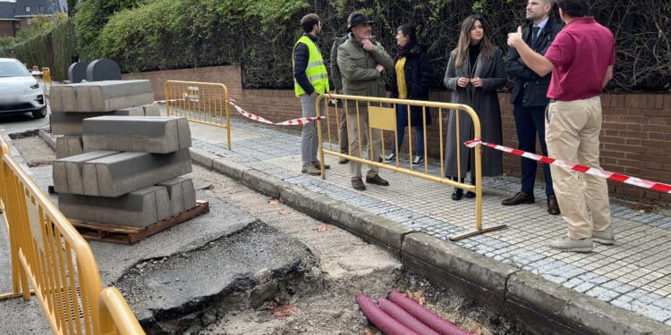 Obras de ajardinamiento y mejora en la calle Virgen del Rosario