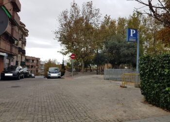 Ciudadanos y PSOE critican la moción de Vox sobre la zona de bajas emisiones