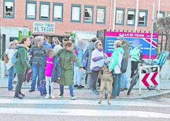 La Plataforma en Defensa de la Educación Pública pide una ZBE en entornos escolares
