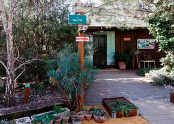 Hoteles para insectos, paseos micológicos o ejercicios para el bienestar psicológico: algunas de las propuestas del Aula de Naturaleza de Pozuelo