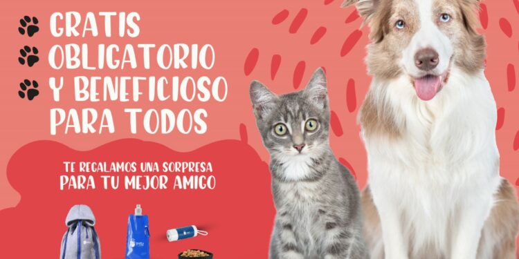 Campaña empadronar mascotas Boadilla