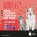 Campaña empadronar mascotas Boadilla