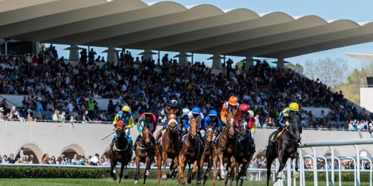 Un domingo con muchas expectativas en el Hipódromo de La Zarzuela