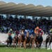 Un domingo con muchas expectativas en el Hipódromo de La Zarzuela