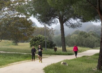 Majadahonda repite como mejor ciudad por su gestión ambiental