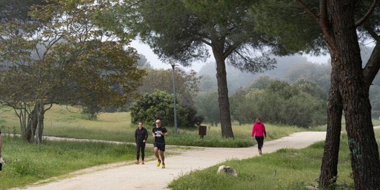 Majadahonda repite como mejor ciudad por su gestión ambiental