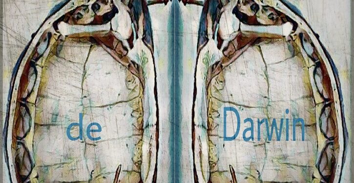 La pieza teatral ‘La tortuga de Darwin’,del dramaturgo Guillermo Lodescles, seleccionada para la segunda edición de ‘D’Ensayo’