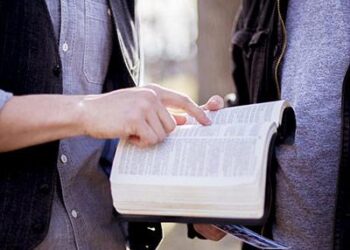 Los libros de segunda mano también son los protagonistas de la Feria del Libro de Majadahonda