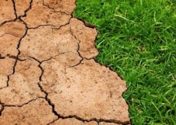 La exposición #PonDerechosAlClima de Amnistía Internacional llega a Majadahonda