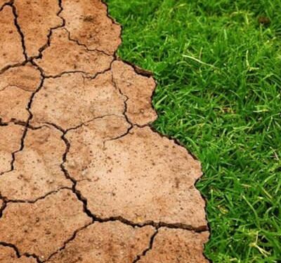 La exposición #PonDerechosAlClima de Amnistía Internacional llega a Majadahonda