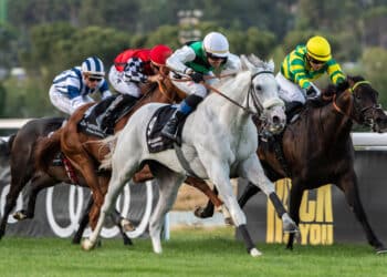 Sábado de grandes premios en el Hipódromo de La Zarzuela con el desafío entre Kowalsky y Pamplona