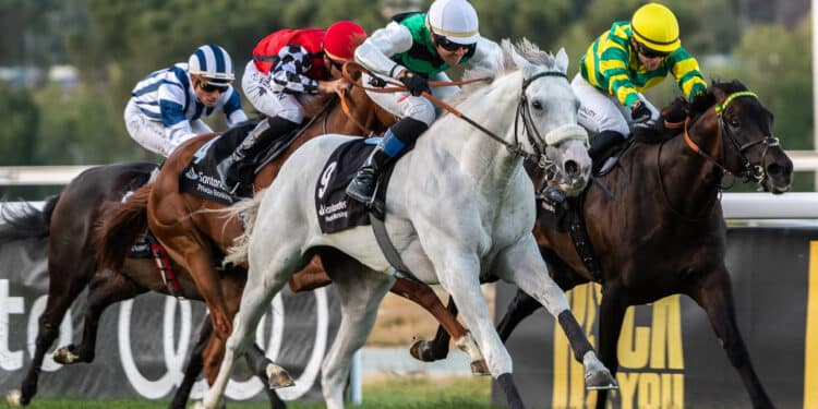 Sábado de grandes premios en el Hipódromo de La Zarzuela con el desafío entre Kowalsky y Pamplona
