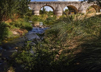 Las Rozas obtiene el distintivo Destino Turístico Inteligente Adherido 2023