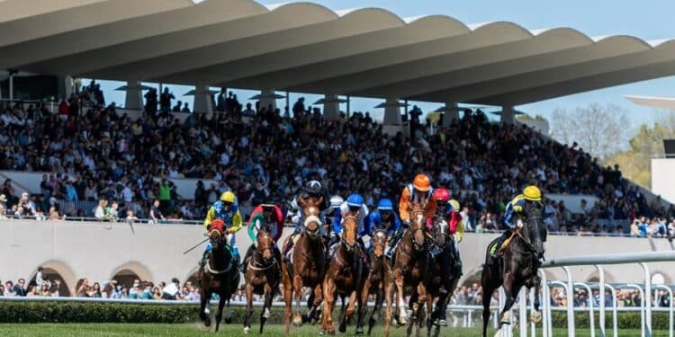 El Hipódromo de la Zarzuela celebra el Gran Premio de Madrid y da el pistoletazo de salida a “Las Noches del Hipódromo”