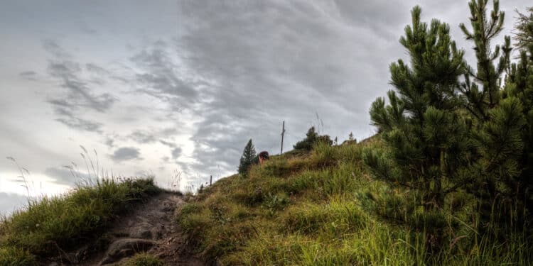 La Comunidad de Madrid convoca nuevas ayudas para recuperar los montes de titularidad privada