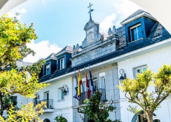 Pleno extraordinario express para despedir a Álvarez Ustarroz