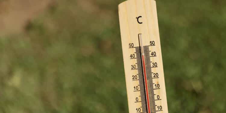 La Comunidad de Madrid activa el nivel 2 de riesgo ante las altas temperaturas previstas para domingo y lunes