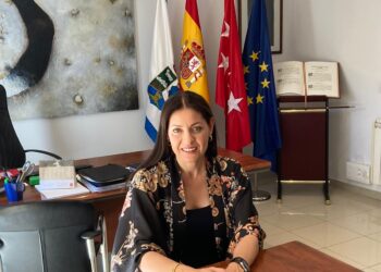 Biblioteca, cámaras de vigilancia y Huerta Vieja