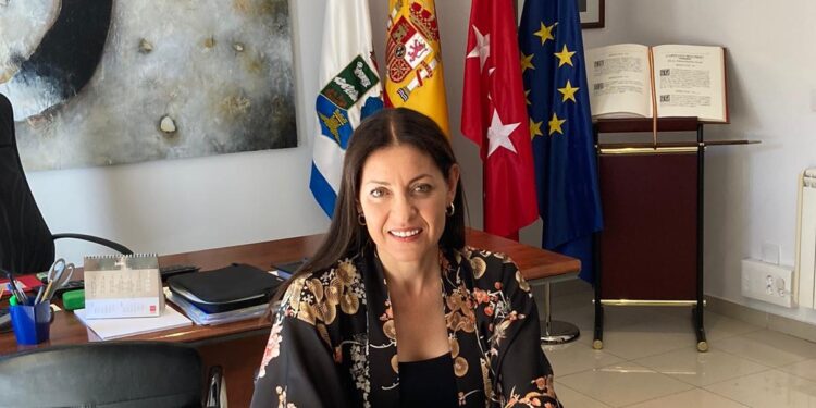 Biblioteca, cámaras de vigilancia y Huerta Vieja