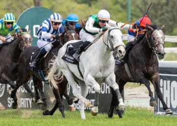 El Hipódromo de la Zarzuela vuelve con el II Campeonato de Jocketas