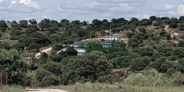 Voluntariado en Majadahonda: “Perros y gatos que buscan casa, pero también cariño y comprensión”