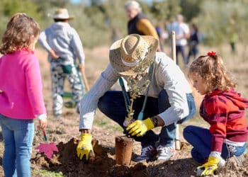 Las Rozas celebra una nueva Gran Plantación Familiar con 3.500 ejemplares