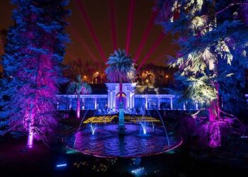 Noviembre trae nuevas exposiciones, espectáculos y experiencias