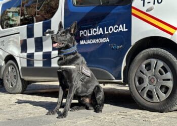 Rayo el perro policía de Majadahonda detiene a un joven conocido por el menudeo de drogas