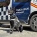 Rayo el perro policía de Majadahonda detiene a un joven conocido por el menudeo de drogas