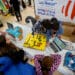 Vuelve “Desafío Las Rozas”, el torneo de robótica y tecnología en que participan todos los centros educativos roceños